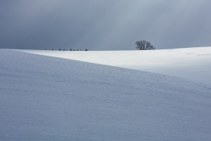 _MG_6690