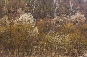 _MG_9327