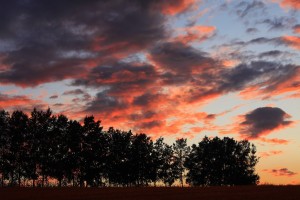 _MG_1344-2-2