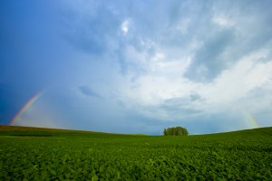_MG_1422-2