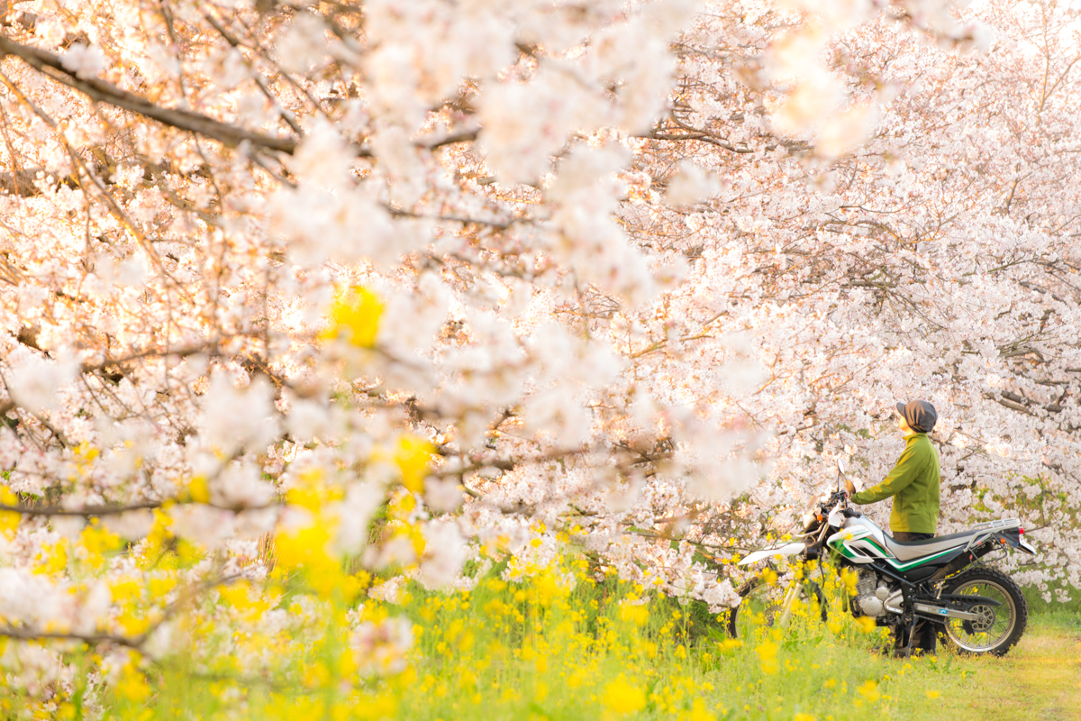 バイクのある風景フォトコンテスト結果発表 美瑛 富良野 写真撮影ツアー 北海道 美瑛の写真家 林 祐介のphoto Office Siknu