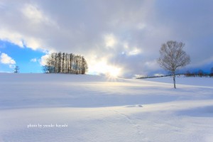 _81D5838