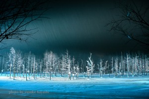 _81D6152