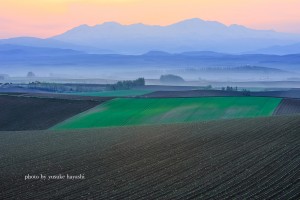 _81D0980
