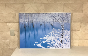 スクリーンショット 0030-10-01 22.50.22