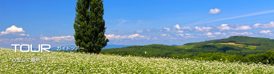 TOUR：ガイドツアー　心安らぐ場所へ